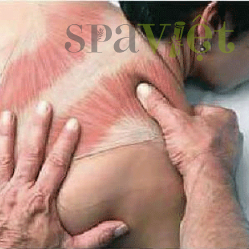 Học Massage Body dễ dàng qua hình ảnh